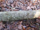 image of grave number 504708